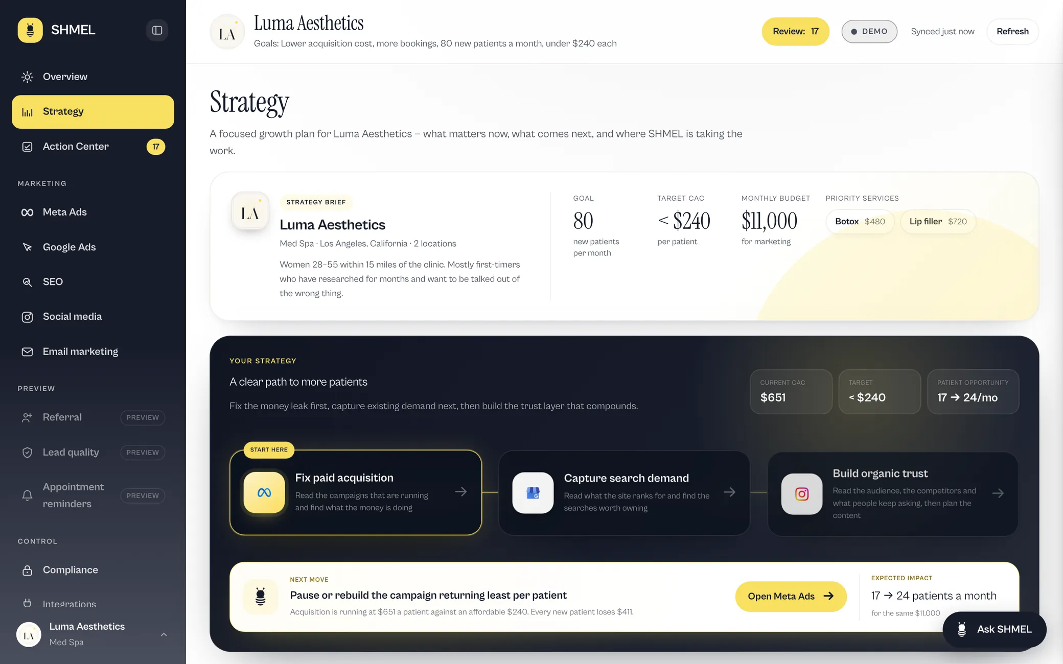 The Shmel platform: Strategy